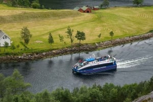 From Bergen: The Original Fjord Cruise to Mostraumen