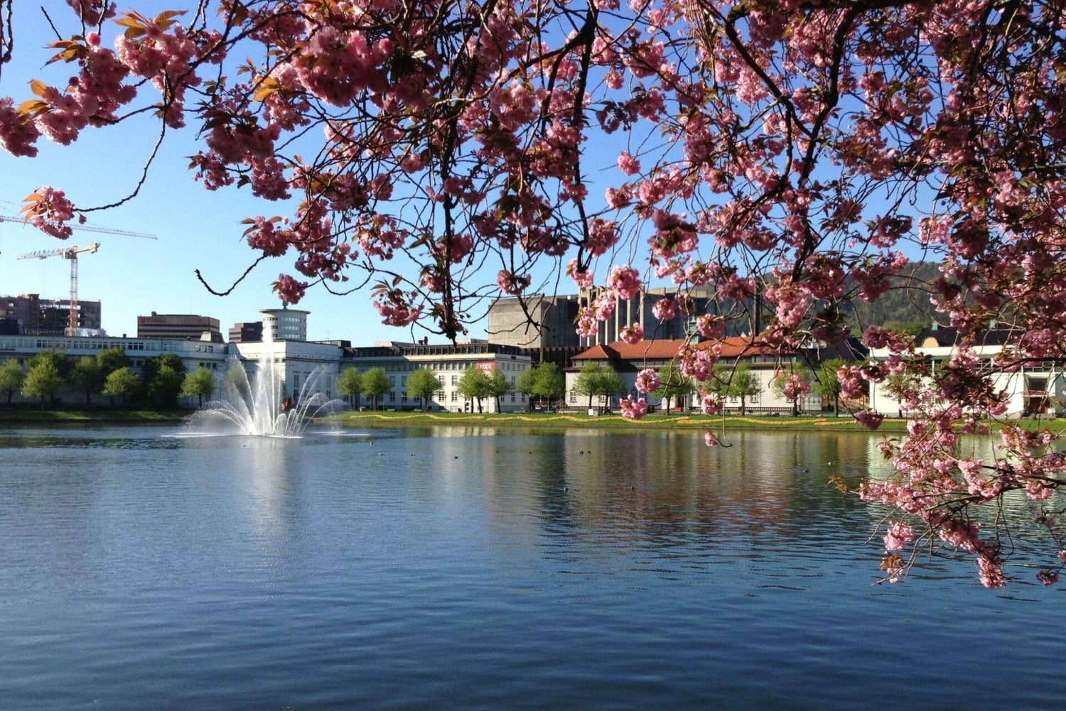 Kaupungin valoista vuonojen nähtävyyksiin – Citywalk ja Oster Fjord