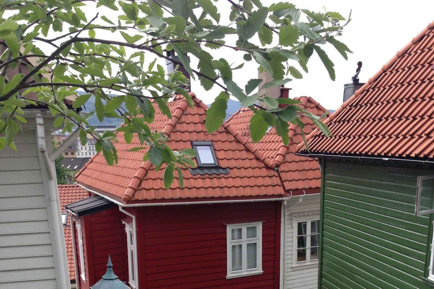 Kaupungin valoista vuonojen nähtävyyksiin – Citywalk ja Oster Fjord