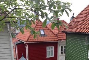 Kaupungin valoista vuonojen nähtävyyksiin – Citywalk ja Oster Fjord