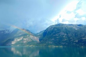 Visite d'une jounée privée à Flåm