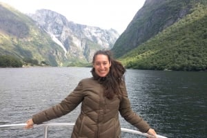 Visite d'une jounée privée à Flåm