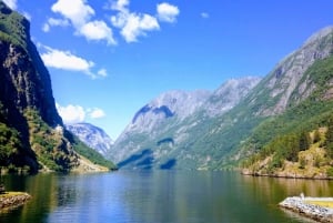 Visite d'une jounée privée à Flåm