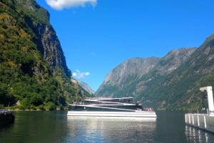 Visite d'une jounée privée à Flåm