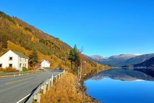Visite d'une jounée privée à Flåm