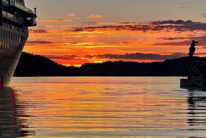 Visite d'une jounée privée à Flåm