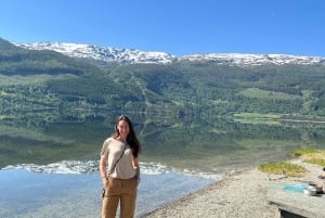 Visite d'une jounée privée à Flåm