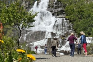 Visite d'une jounée privée à Flåm