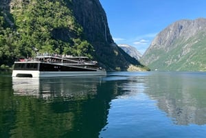 Visite d'une jounée privée à Flåm