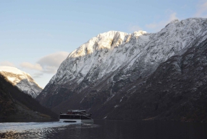 Visite d'une jounée privée à Flåm