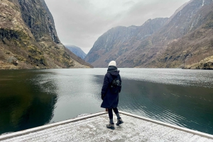 Visite d'une jounée privée à Flåm