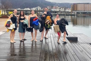 Volledige sauna-ervaring van top tot fjord ViFlowExperience