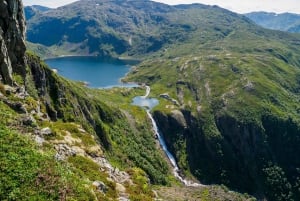 Excursión en helicóptero por los fiordos y los glaciares