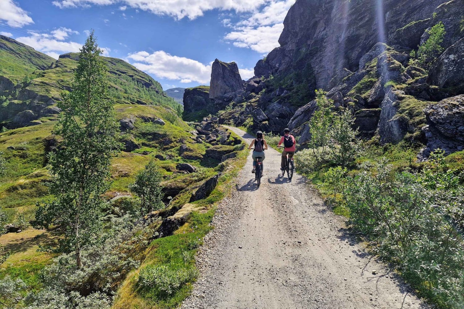 Экскурсия на электровелосипедах с гидом из Ватнахалсена (недалеко от Флама).