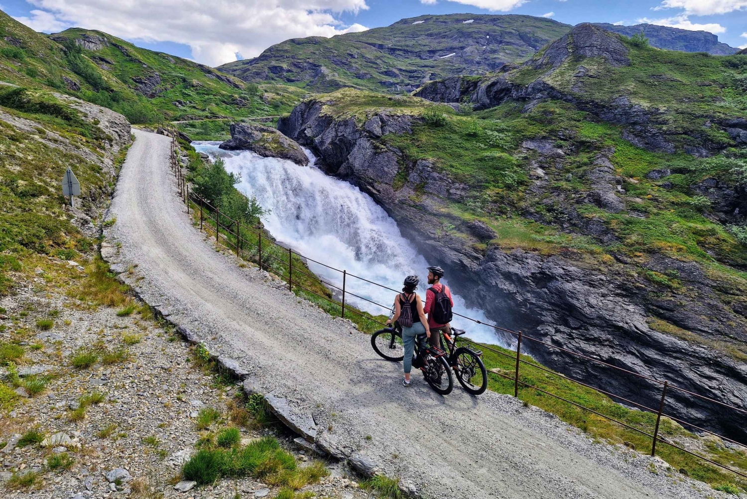 Экскурсия на электровелосипедах с гидом из Ватнахалсена (недалеко от Флама).