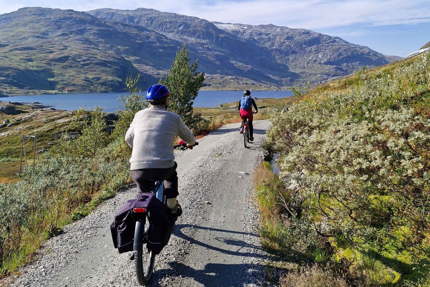 Экскурсия на электровелосипедах с гидом из Ватнахалсена (недалеко от Флама).
