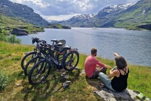 Экскурсия на электровелосипедах с гидом из Ватнахалсена (недалеко от Флама).