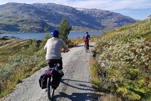 Экскурсия на электровелосипедах с гидом из Ватнахалсена (недалеко от Флама).