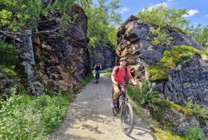 Экскурсия на электровелосипедах с гидом из Ватнахалсена (недалеко от Флама).