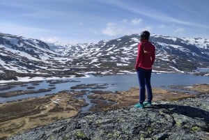 Экскурсия на электровелосипедах с гидом из Ватнахалсена (недалеко от Флама).