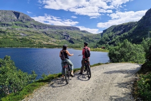 Экскурсия на электровелосипедах с гидом из Ватнахалсена (недалеко от Флама).