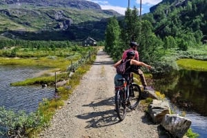Экскурсия на электровелосипедах с гидом из Ватнахалсена (недалеко от Флама).