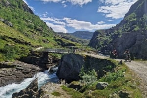 Экскурсия на электровелосипедах с гидом из Ватнахалсена (недалеко от Флама).