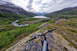 Экскурсия на электровелосипедах с гидом из Ватнахалсена (недалеко от Флама).