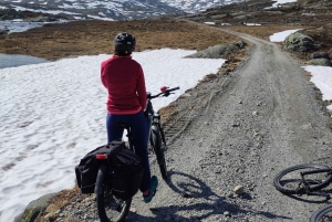 Экскурсия на электровелосипедах с гидом из Ватнахалсена (недалеко от Флама).