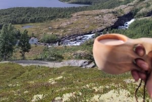 Экскурсия на электровелосипедах с гидом из Ватнахалсена (недалеко от Флама).