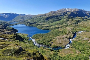 Экскурсия на электровелосипедах с гидом из Ватнахалсена (недалеко от Флама).