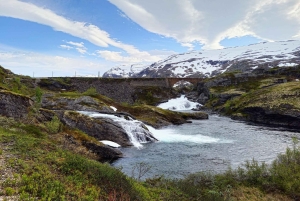 Экскурсия на электровелосипедах с гидом из Ватнахалсена (недалеко от Флама).