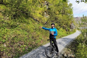 Экскурсия на электровелосипедах с гидом из Ватнахалсена (недалеко от Флама).