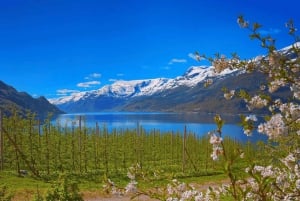 Führung: Hardangerfjord, Wasserfälle und Fährüberfahrt