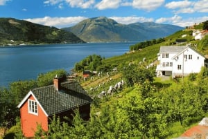 Führung: Hardangerfjord, Wasserfälle und Fährüberfahrt