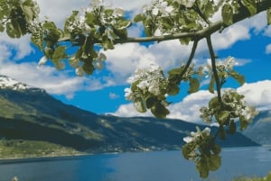 Führung: Hardangerfjord, Wasserfälle und Fährüberfahrt