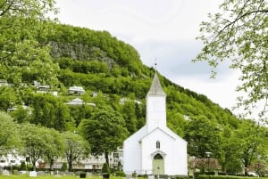 Führung: Hardangerfjord, Wasserfälle und Fährüberfahrt