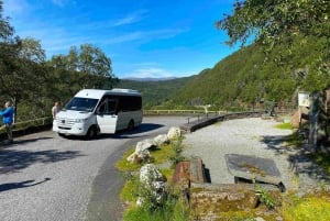 Führung: Hardangerfjord, Wasserfälle und Fährüberfahrt