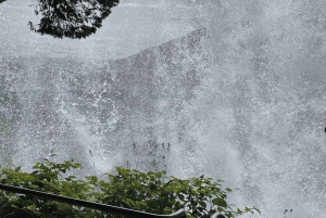 Führung: Hardangerfjord, Wasserfälle und Fährüberfahrt