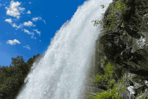 Führung: Hardangerfjord, Wasserfälle und Fährüberfahrt