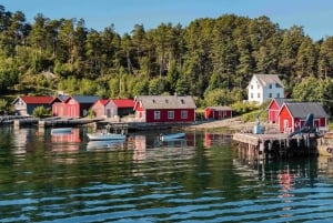 Führung: Hardangerfjord, Wasserfälle und Fährüberfahrt