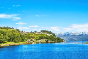 Führung: Hardangerfjord, Wasserfälle und Fährüberfahrt