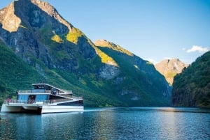 Bergen: Viking Village, Nærøyfjorden Cruise og Flåm Railway