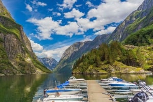 Bergen: Viking Village, Nærøyfjorden Cruise og Flåm Railway