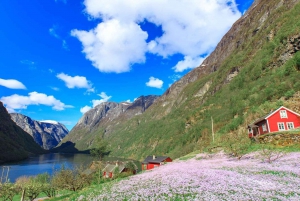 Bergen: Viking Village, Nærøyfjorden Cruise og Flåm Railway