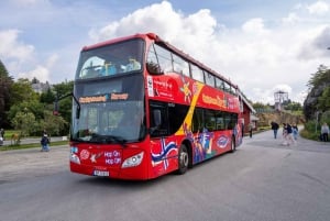 Haugesund: Hop-On Hop-Off bussikierros: City Sightseeing Hop-On Hop-Off bussikierros
