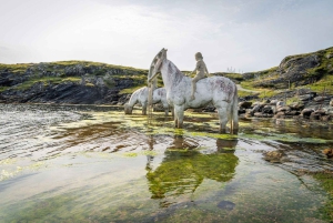 Haugesund: Hop-On Hop-Off bussikierros: City Sightseeing Hop-On Hop-Off bussikierros