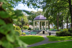 Haugesund: Hop-On Hop-Off bussikierros: City Sightseeing Hop-On Hop-Off bussikierros