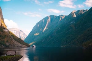 ネーロイフィヨルドクルーズ、フロム、ステガステイン - ランチ付き