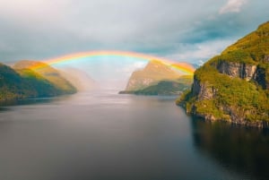 ネーロイフィヨルドクルーズ、フロム、ステガステイン - ランチ付き